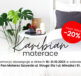 Promocja na materace Karibian Descanso w salonach Pan Materac w Szczecin