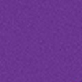 Pianka Lavender