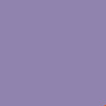 Pianka Lavender